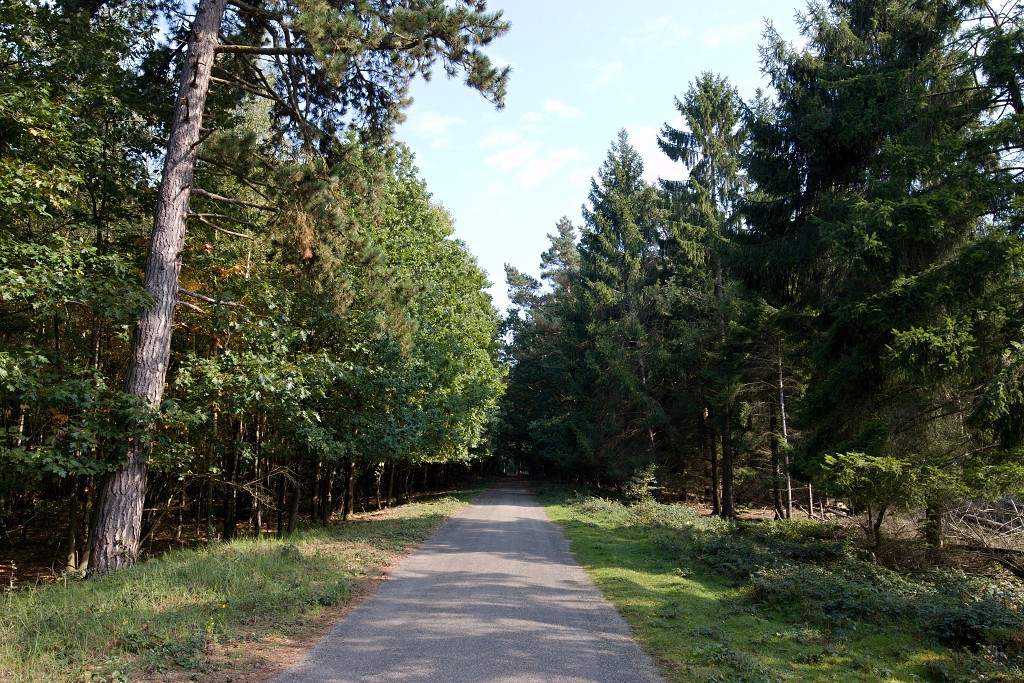 baronie van breda leemputten boswachterij dorst mastbos chaamse bossen Liesbos Vuchtpolder hdr bos Strijbeekse Heide staatsbosbeheer